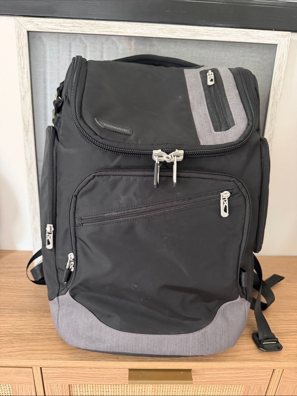 Briggs & Riley BRX Excursion Backpack